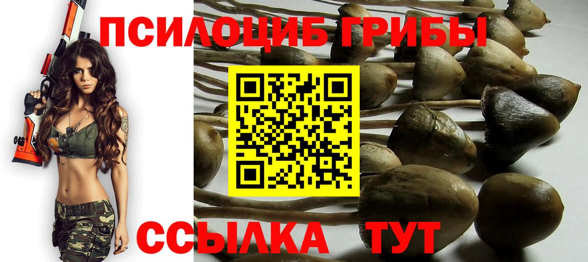 Сальск  Галлюциногенные грибы Psilocybe  Вход с VPN 
